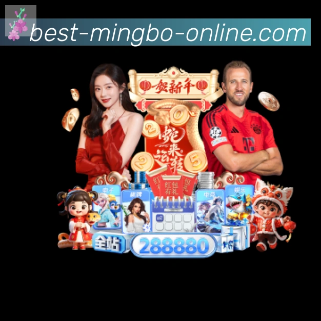 体育数据展示